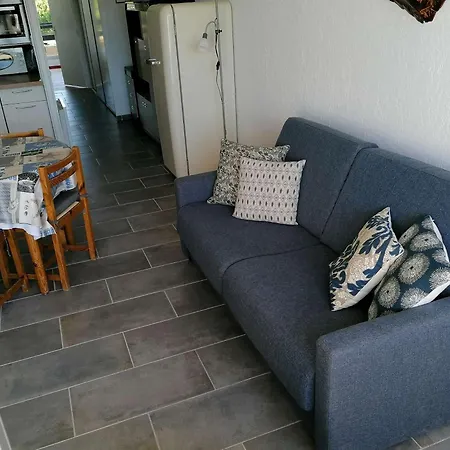 Apartman Refait 2 Pieces Avec Piscine Et Parking - Fr-1-731-106