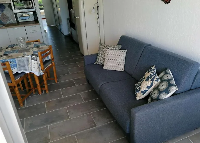 Apartament Refait 2 Pieces Avec Piscine Et Parking - Fr-1-731-106